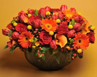 Bowl of Fall