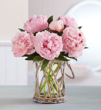 Elegant Simplicity