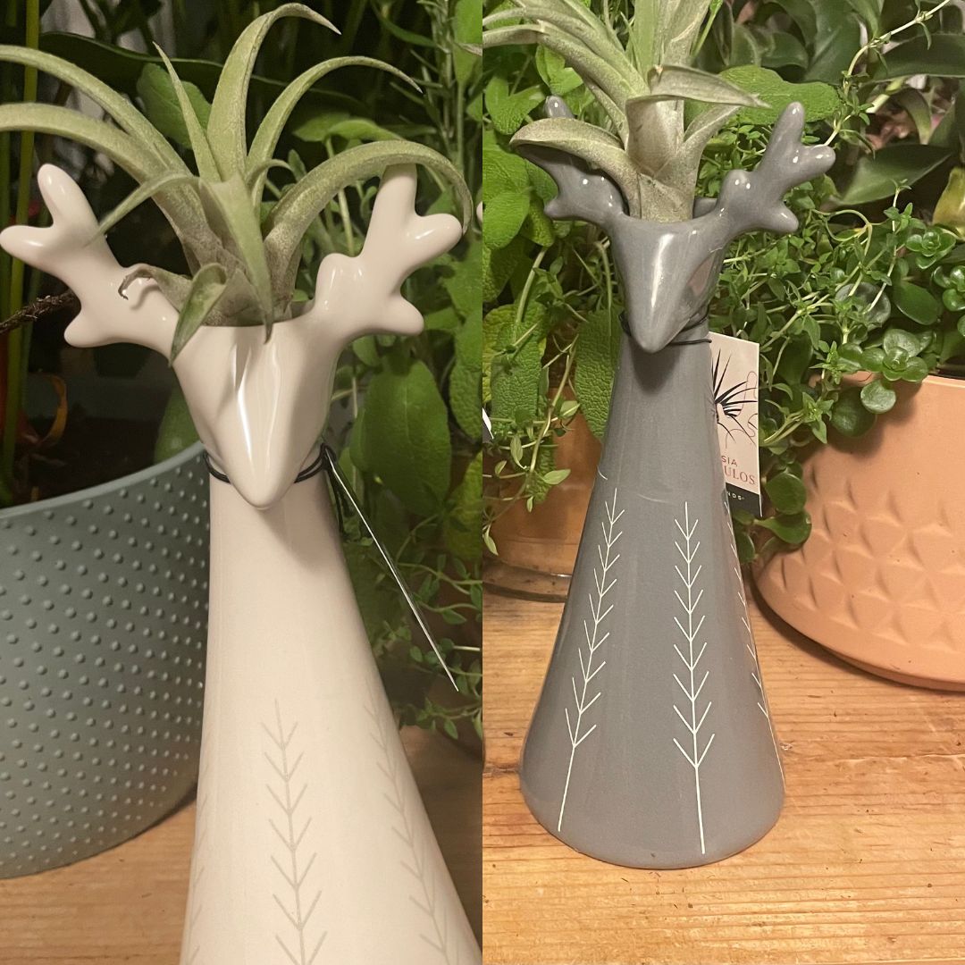 Christmas Reindeer Centerpiece (2 Pack)