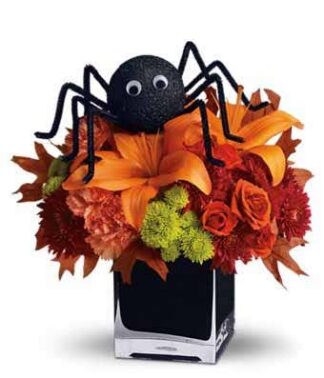 Spooky Spider