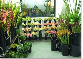 Exotic Arrangements
