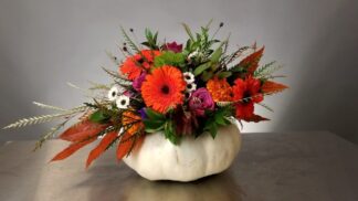 White Pumpkin Floral