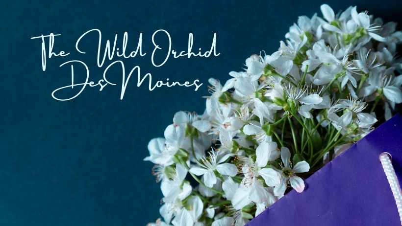 Windsor Heights Florist
